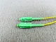 single mode fiber patch cord